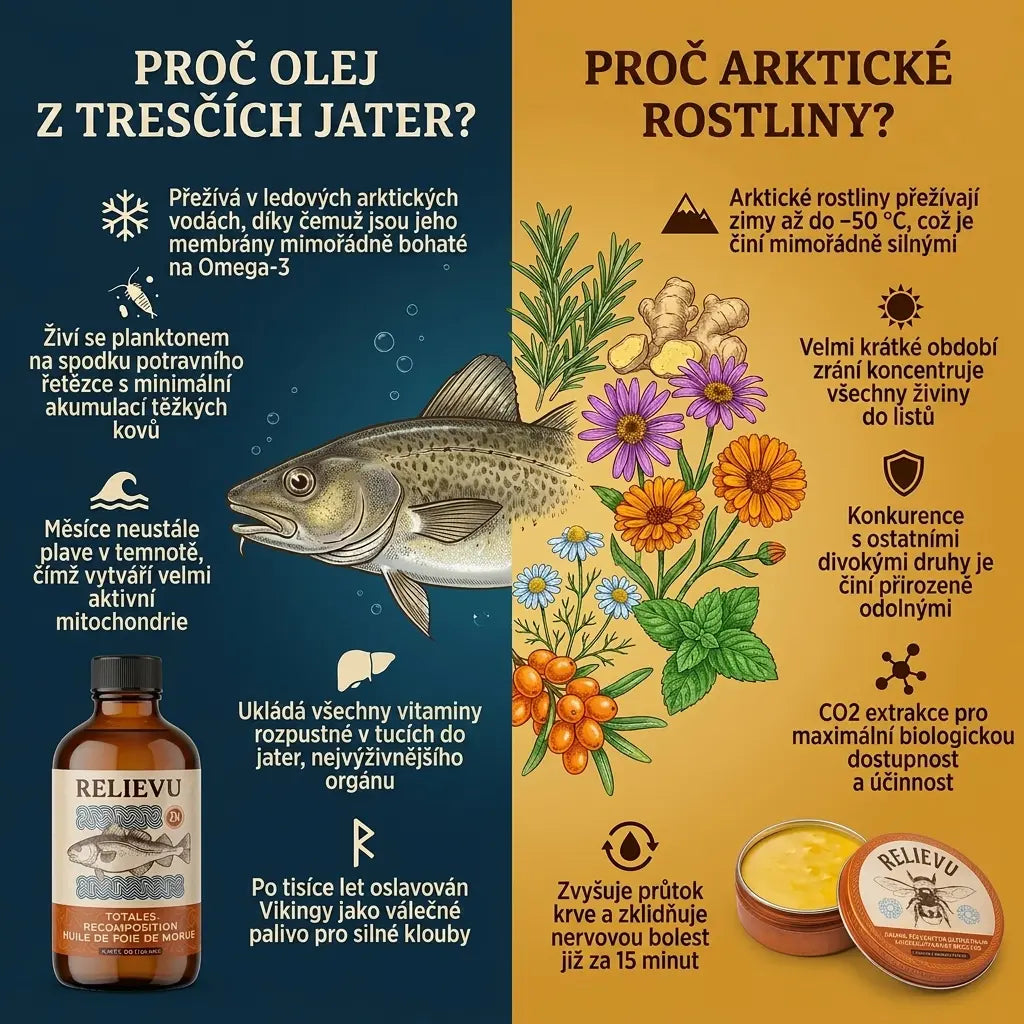 Ultimátní rituál pro regeneraci kloubů GLOWRIE