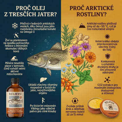 Ultimátní rituál pro regeneraci kloubů GLOWRIE